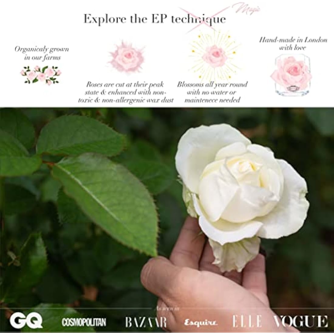 Eternal Petals A 100% Real Rose That Lasts Years, Handmade in London – Gold Solo (Rainbow)