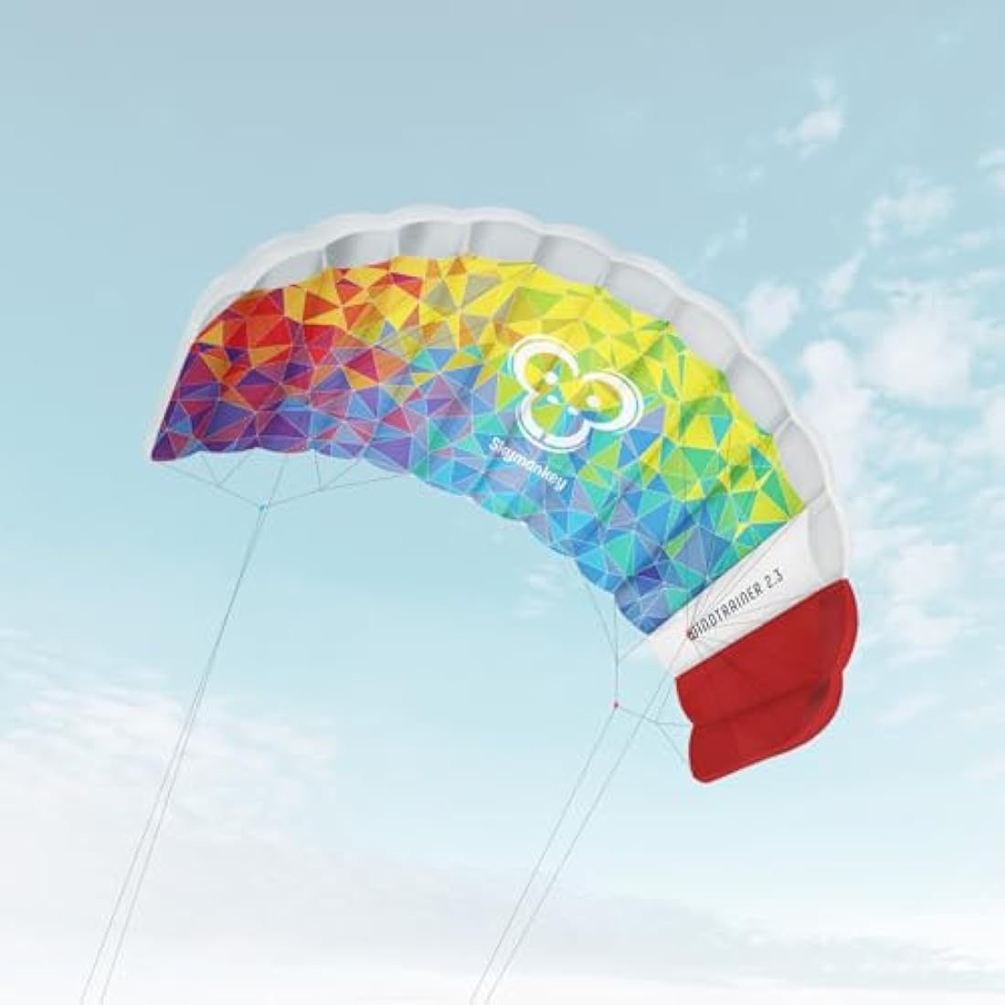 Skymonkey Windtrainer Parafoil Kite 4-String Stunt-Kite (incl. Training Bar) Ready 2 Fly (230 cm / 330 cm Wingspan)
