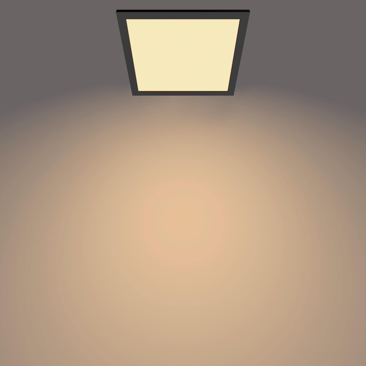 Philips LED Panel Square Ceiling Light SceneSwitch Dimmable 2700K 12W [Warm White - Black]. for Indoor Lighting, Livingroom and Bedroom