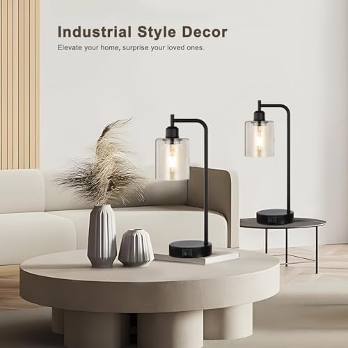 Aooshine Bedside Lamps Set of 2, Industrial Touch Lamps Bedside with USB C+A Charging Ports, Bedside Table Lamps for Bedroom, Black Bedside Lamps with Clear Glass Shade for Living Room(Bulbs Included)