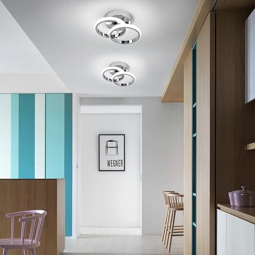 EIDISUNY LED Ceiling Light Modern 24cm Silver Round Simple Ceiling Lig ht Fixture LED for Corridor Kitchen Stairs Hallway Study Room Bedroom Living Roo m - Chrome 22W Cool White Light 6000K