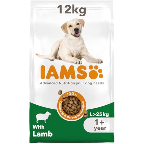 IAMS Adult Large Complete Dry Dog Food Lamb 12kg - With DentalCare System