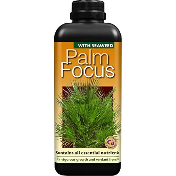 Growth Technology Ltd,1L,Black Palm Focus 1 Litre