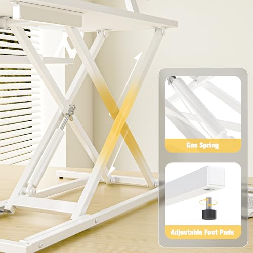 ERGOMAKER Height Adjustable Standing Desk Converter - 81cm (32 Inch) Wide Platform Tabletop Workstation - Quick Sit to Stand Desk Riser for Dual