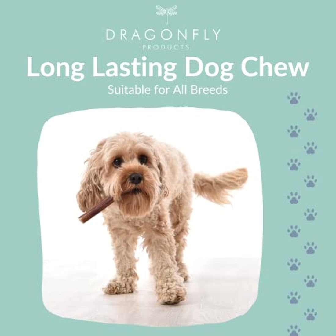 Dragonfly Products 10 pieces Bulls Pizzle Bully Sticks for Dogs & Puppies | Healthy, Natural Dog Treats Chews | Grain Free Treat