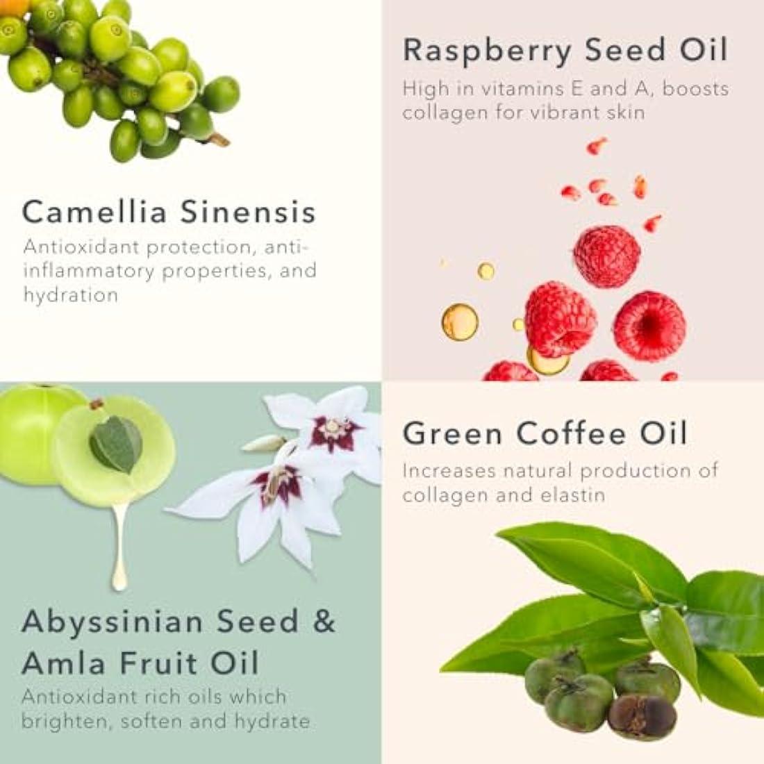 Baie Botanique Anti-Ageing Facial Oil 15ml - Rose Absolute, Camelia, Borage, Evening Primrose, Abyssinian & Amla Oil - 100% Natural, 90% Organic