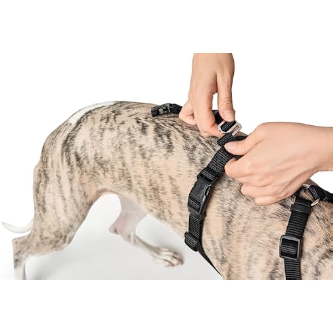 HUNTER Escape-proof harness Vario Rapid, L black, Nylon