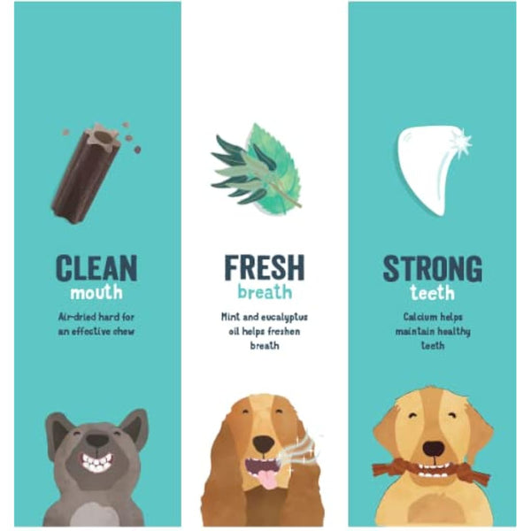 Edgard Cooper Treats Dental Stick, Small - Eucalyptus & Apple - (8 x 7 stick pack), Natural Dog Chew Sticks, Dental Hygiene, One per Day, Low Calorie, Long Chewing, Fresh Breath