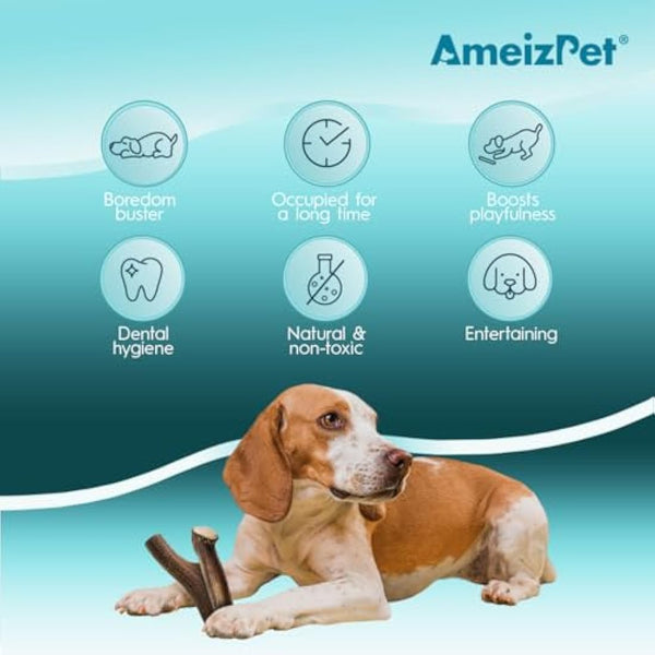 AmeizPet Antler Chews For Dogs - All Natural Dog Chews, Long Lasting Elk Antler Bones for Dog, Durable Deer Antlers For Dogs – 2pcs XL Size Deer Antlers