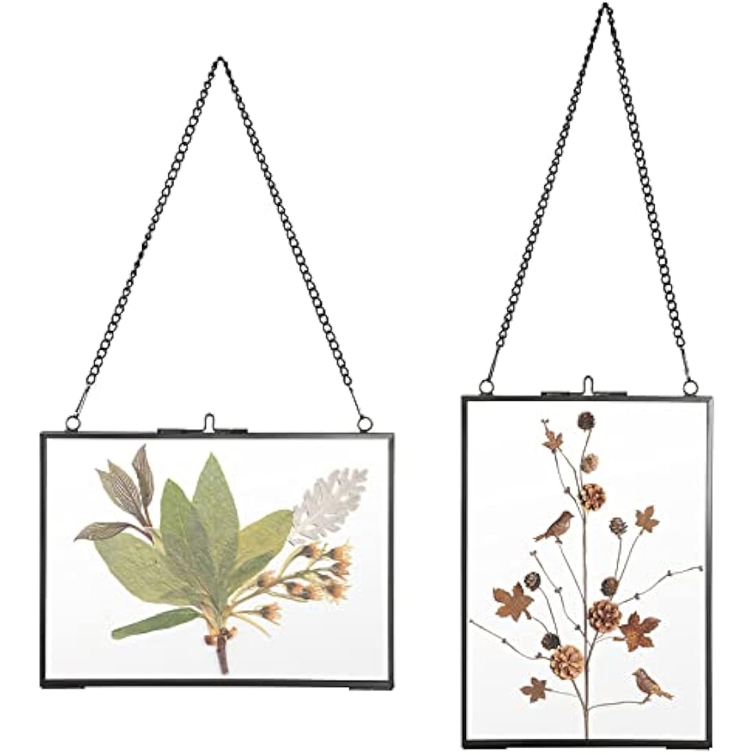 SUMTree Set of 2 Black Glass Hanging Photo Picture Display Frame, Floating Glass Picture Frame with Chain for Family Tree Mini Photo, Gallery Wall Art Work, Pressed Flower, collage, etc, 5 * 7 inch