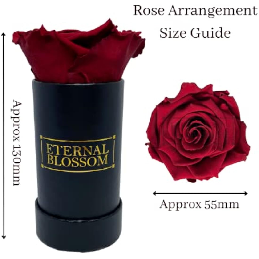 Eternal Blossom Preserved Real Infinity Rose | Eternal Rose That Lasts Over A Year | Black Box | With Gift Box (Rouge Red)