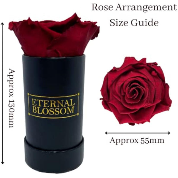 Eternal Blossom Preserved Real Infinity Rose | Eternal Rose That Lasts Over A Year | Black Box | With Gift Box (Rouge Red)