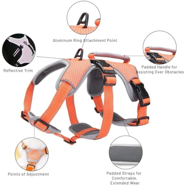 BELPRO Multi-Use Support Dog Harness, Escape Proof No Pull Reflective Adjustable Vest with Durable Handle, Dog Walking Harness for Big/Active Dogs (Orange, S)
