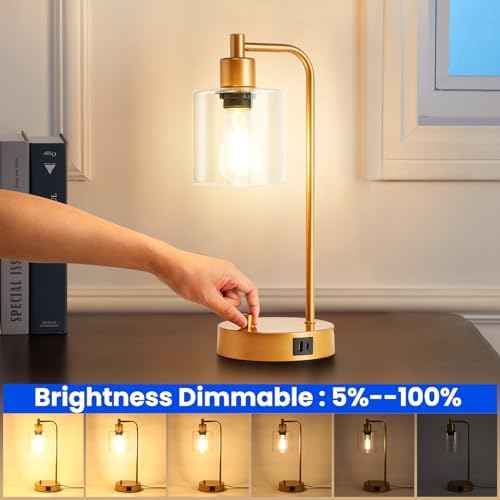 Homelist Gold Bedside Lamp Set of 2,Dimmable Industrial LED Table Lamps Nightstand Beside Reading Desk Lamp with USB Charging Port, Glass Shade for Bedroom Living Room Home Office,Gift for Friend