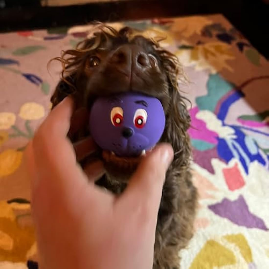 6 x Latex Faceballs Dog Puppy Toy Tennis Balls Sized Soft Squeaky Face Balls