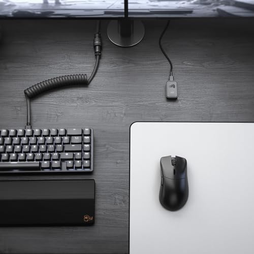 Glorious Gaming Model D Wired Gaming Mouse - 68g Superlight Honeycomb Design, RGB, Ergonomic, Pixart 3360 Sensor, Omron Switches, PTFE Feet, 6 Buttons - Glossy Black