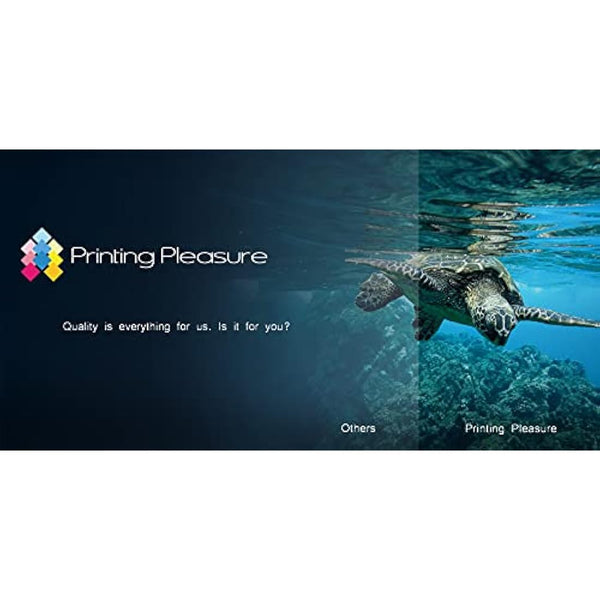 2 Remanufactured PG-40 Ink Cartridges for Pixma iP1200 iP1300 iP1600 iP1800 iP1900 iP2200 iP2500 iP2600 MP140 MP150 MP160 MP170 MP180 MP190 MP210 MP220 MP450 MP460 MX300 MX310 - Black, High Capacity