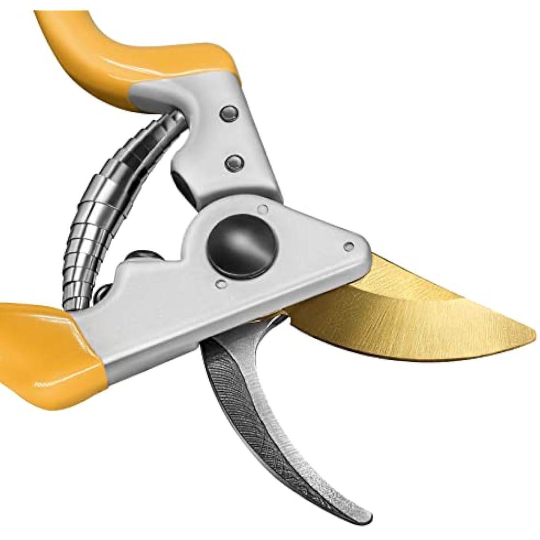 GRÜNTEK Z-25 Titanium Bypass Secateurs – 215mm Ergonomic Garden Pruning Shears with Japanese SK5 Blade | Tree, Vine & Garden Maintenance