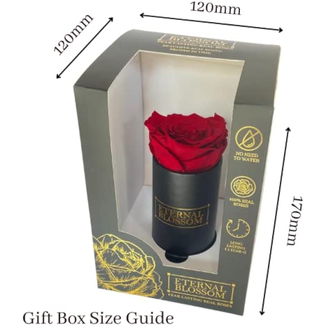 Eternal Blossom Preserved Real Infinity Rose | Eternal Rose That Lasts Over A Year | Black Box | With Gift Box (Rouge Red)