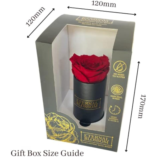 Eternal Blossom Preserved Real Infinity Rose | Eternal Rose That Lasts Over A Year | Black Box | With Gift Box (Rouge Red)