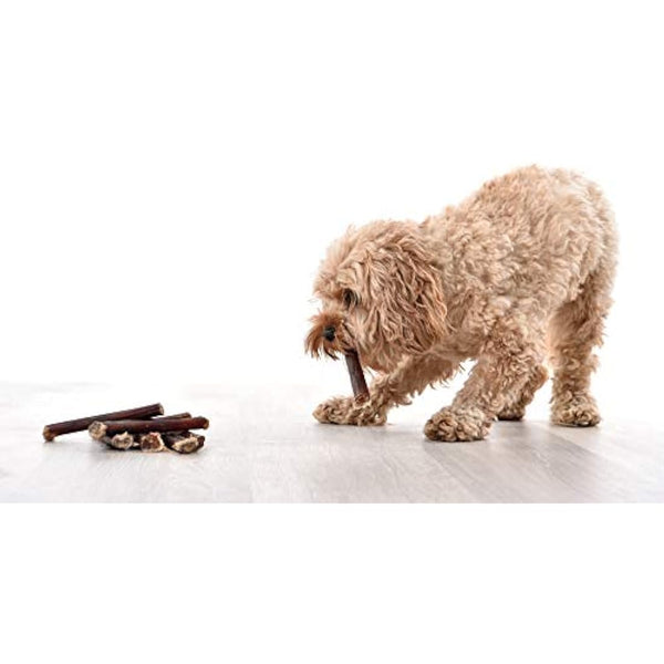 Dragonfly Products. 10 x 15cm Thick Bulls Pizzle Bully Sticks for Dogs & Puppies - Healthy, Natural Dog Thick Treats Chews