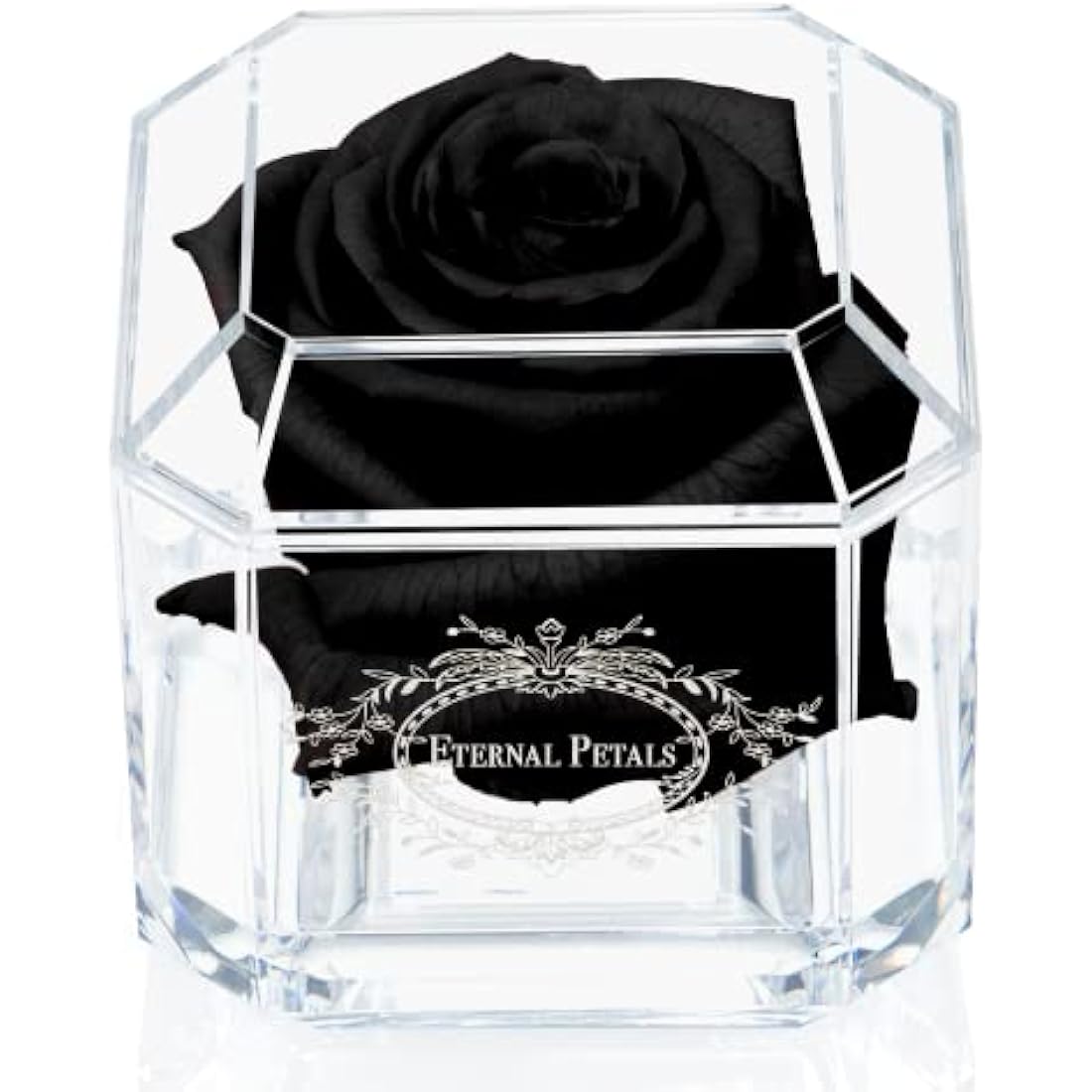 Eternal Petals A 100% Real Rose That Lasts Years, Handmade in UK – White Gold Solo (Black)