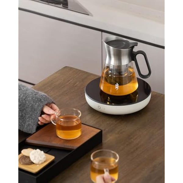 ZENS Glass Tea Infuser Teapot with 2 Cups, 680ML Small Loose Leaf Teapot with Stainless Steel Spout for Herbal Tea Diffusers, Design Oval Handle Clear Tea Infusers Pot for Tea Lovers Gifts