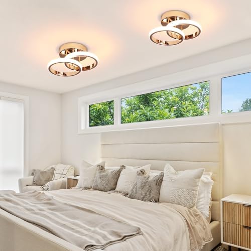 EIDISUNY LED Ceiling Light Modern Ceiling Lamp Gold Round Simple Ceiling Lights Fixture LED for Corridor Kitchen Stairs Hallway Study Room Bedroom Living Room - Chrome Gold 22W Natural Light 4500K.