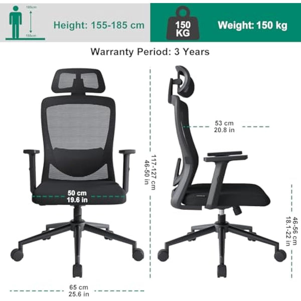 Eucladoceros Office Chairs,Ergonomic Desk Chairs with Adjustable Lumbar Support,2D Headrest & Armrest 120° Rocking High Back Mesh Executive Office Chair for home, Desk Chair, Black