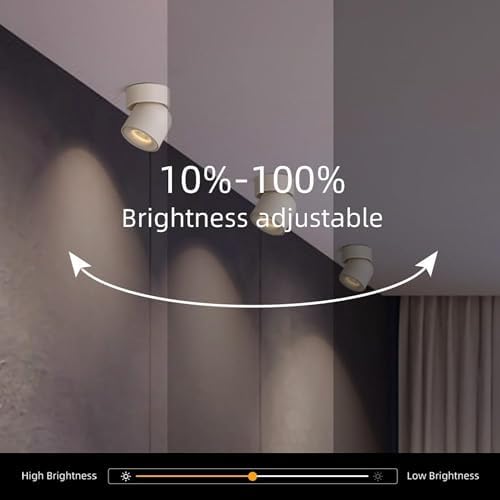 Aisilan 2 Pack White Ceiling Spotlight Dimmable 9W LED Warm White Rotatable 360° Adjustable Ceiling Single Spot Light for Wall Painting, Gallerie, Art, Living Room, Stairs, Corridor