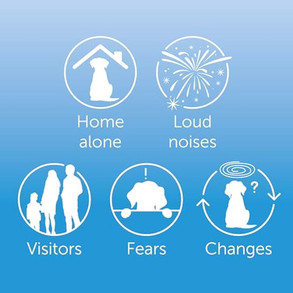 30 Day Refill For Adaptil Calm Home Diffuser For Dogs | 1 Refill For Adaptil Dog Calming Plug In Pheromone Diffuser To Help Reduce Anxiety And Stress In Pet Dogs | Diffuser Helps Dogs Stay Calmer