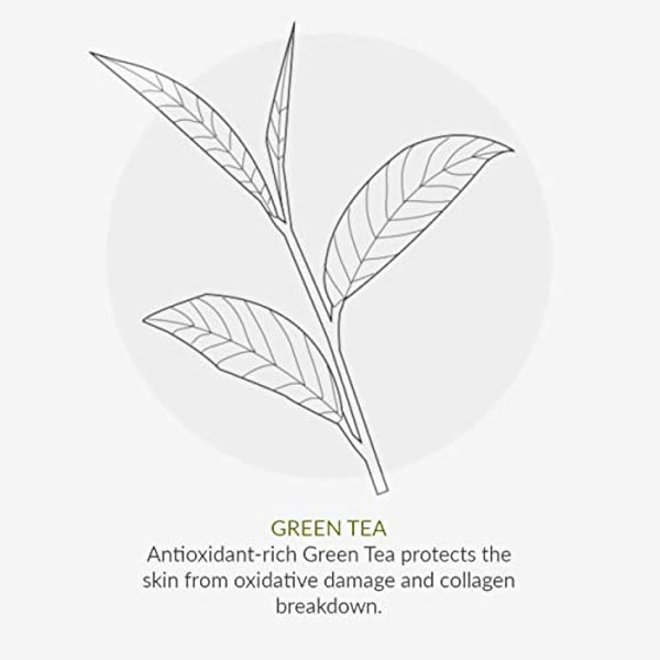 Green People Edelweiss SPF15 Sun Cream & After Sun - Natural, Organic Sunscreen with Tan Accelerator - Non Comedogenic, Reef Safe - 2x200ml