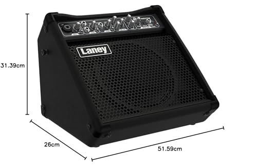 Laney AUDIOHUB Series AH80 - Multi-Input Combo Amp - 80W - 10 inch Woofer plus Horn, Black