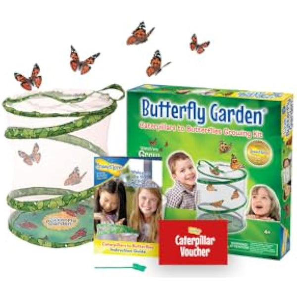Insect Lore Butterfly Garden (Packaging May Vary)