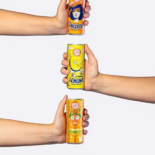 Karma Drinks Orangeade (250ml x 24 Cans Soft Drink), Organic, Gluten Free Lemonade cans, Natural Ingredients, Fairtrade, Vegan Friendly, No GMO, Carbonated Fizzy Drinks 24 Pack