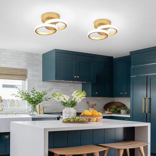 EIDISUNY LED Ceiling Light Modern Ceiling Lamp Silver Round Simple Ceiling Light Fixture LED for Corridor Kitchen Stairs Hallway Study Room Bedroom Living Room - Gold 22W (Cool White Light 6000K).