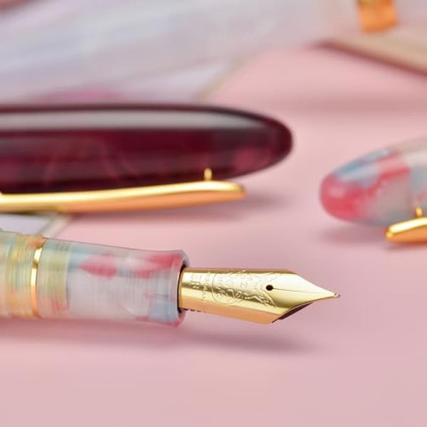 Hong Dian N9 Fountain Pen, Long Leaf Medium Point Gold Ornaments, Jade White and Acrylic Design with Converter and Metal Feather Box Set