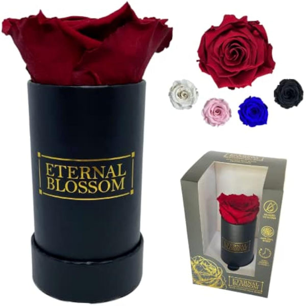 Eternal Blossom Preserved Real Infinity Rose | Eternal Rose That Lasts Over A Year | Black Box | With Gift Box (Rouge Red)