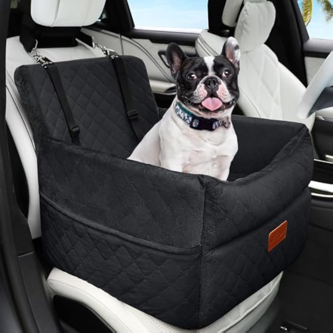 HEGGCOOE Small Dog Car Seat, Memory Foam Dog Booster Seats with Thick Cushion for Medium Dogs Under 35lbs, Detachable Washable Pet Car Seat with Storage Pockets,2 Safety Belts