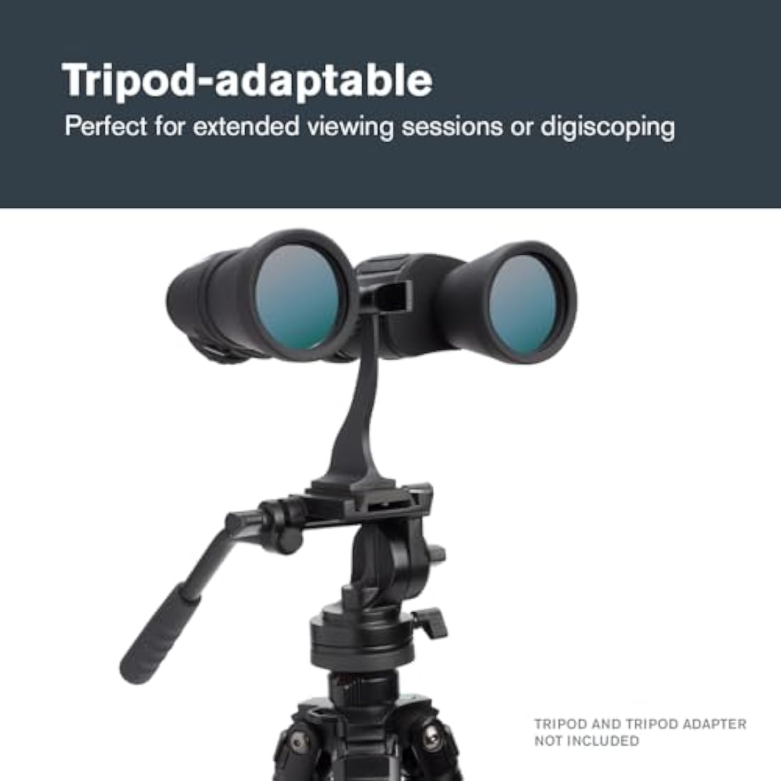 Celestron 71198 Cometron 7x50 Porro Prism Binoculars, Black