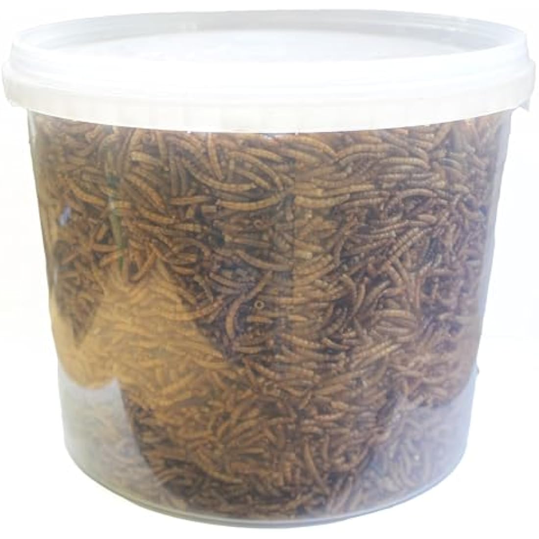 Extra Select Dried Mealworms for Wild Birds: Protein Rich Wild Bird Food for Robins to Hedgehogs - Meal Worms for Garden Birds - 5 Litre Tub