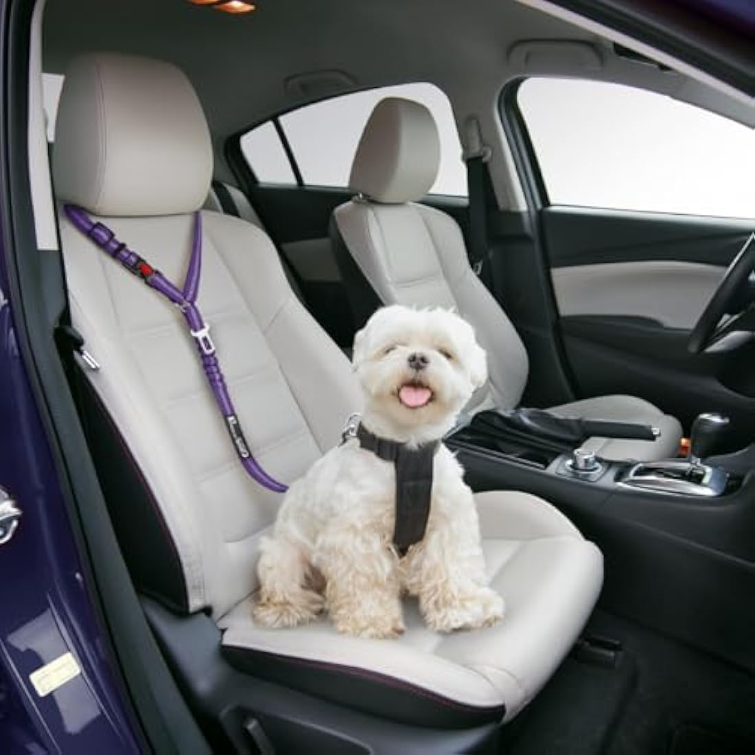 Headrest dog car seat belt 2 Pack Adjustable Durable Headrest Seat belt Pet Dog Car Safety Harness Restraint with Elastic Nylon Bungee Buffer