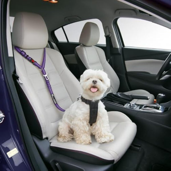 Headrest dog car seat belt 2 Pack Adjustable Durable Headrest Seat belt Pet Dog Car Safety Harness Restraint with Elastic Nylon Bungee Buffer