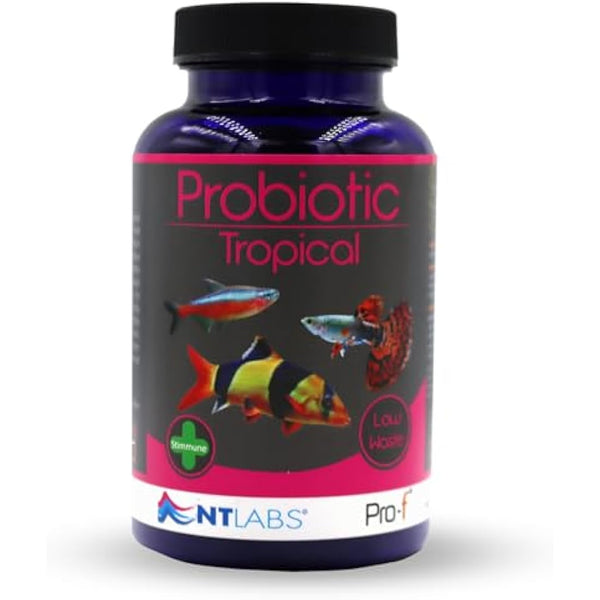 NT Labs Pro-f Probiotic Tropical Fish Food For Freshwater Fish (Contain Viable Probiotic Cultures) Granules For Tropical Aquariums, Supports Immune System, Highly Nutritious Spirulina (120g)
