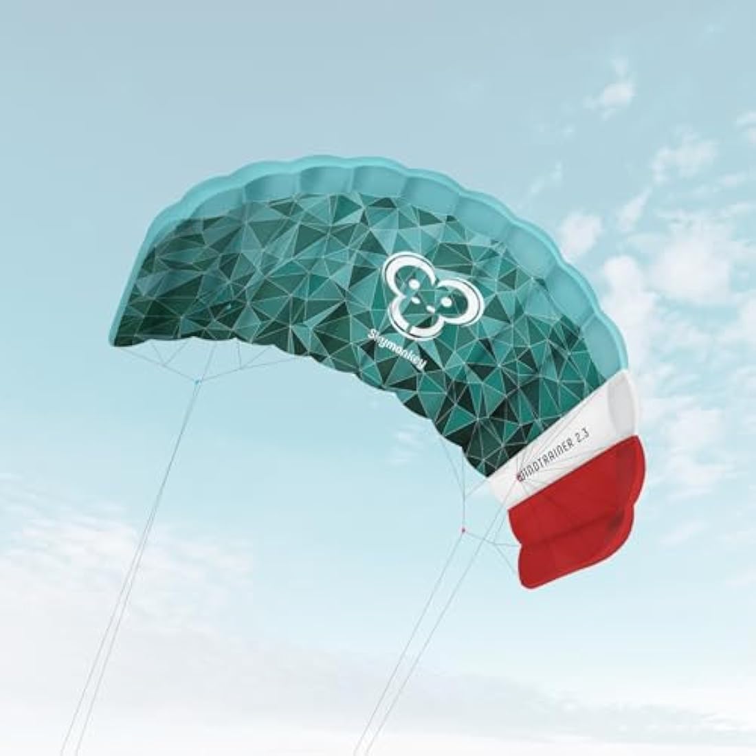 Skymonkey Windtrainer Parafoil Kite 4-String Stunt-Kite (incl. Training Bar) Ready 2 Fly (230 cm / 330 cm Wingspan)