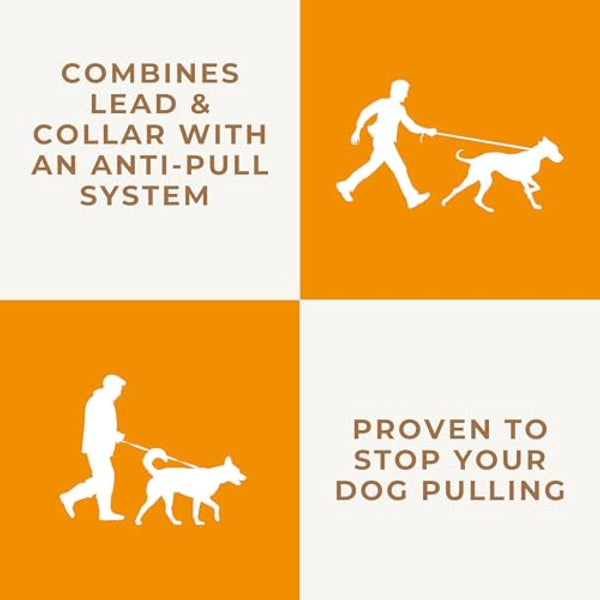 Dog & Field Figure 8 Anti-Pull Lead/Halter/Head Collar/Harness (Natural)