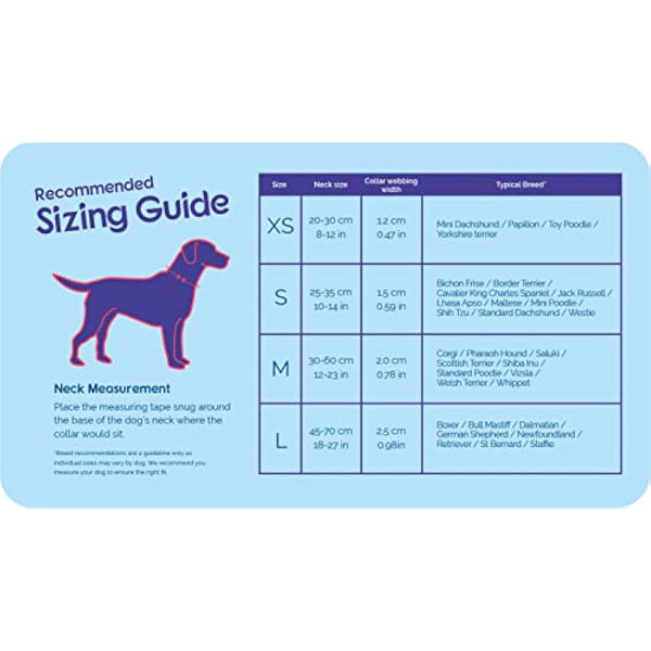 HALTI Collar, Size Medium, Purple, Best Comfy Dog Collar, Premium Puppy Collar, Nylon, Neoprene-Padded, Reflective, Easy to Fit & Use, For Small, Medium & Large Dogs