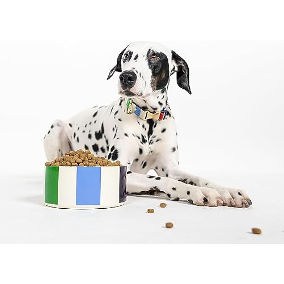 Kate Spade New York Cute Dog Collar, Gold Metal Buckle Dog Collar, 15.5" to 24" Adjustable Dog Collar for Female or Male Dogs, Stylish Dog Collar for Medium and Large Breeds (Adventure Stripe)