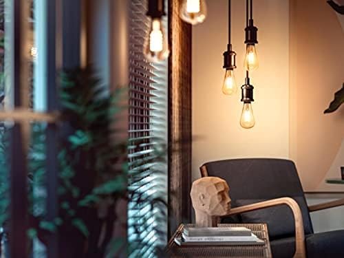 Philips Hue White Ambiance Filament ST64 Smart Light Bulb [E27 Edison Screw] with Bluetooth. Works with Alexa, Google Assistant and Apple Homekit