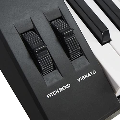 Axus AXD55 88 Key Digital Piano Keyboard with Touch Sensitive Keys, Sustain Pedal and High-Level Features and Functions.